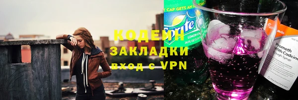 индика Нея