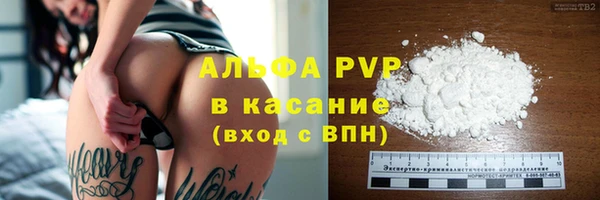 индика Нея