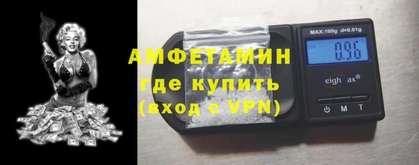 индика Нея