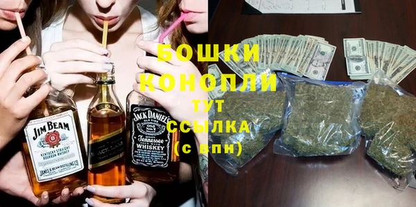 индика Нея