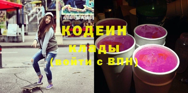 индика Нея