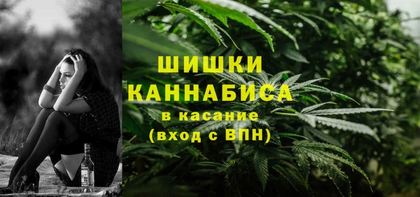 индика Нея