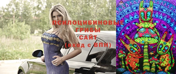 индика Нея