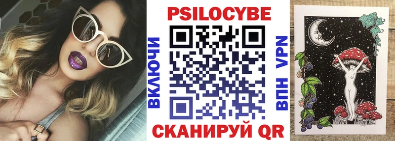 Купить  Петрозаводск  Псилоцибиновые грибы мицелий 